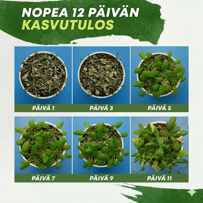 Kasviravinneliuos